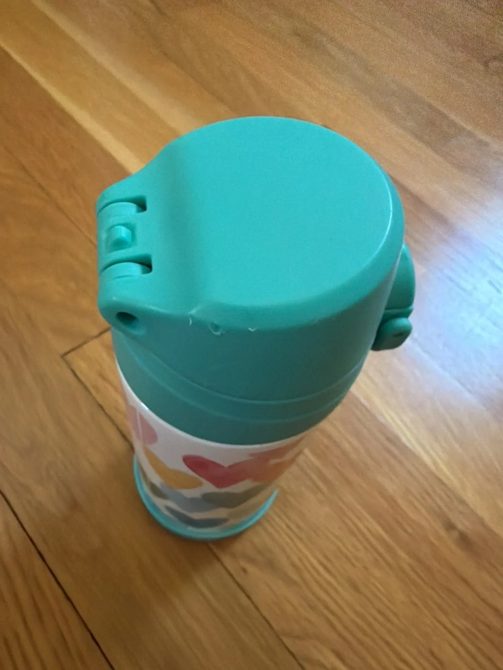 Pottery barn kids rainbow hearts water bottle